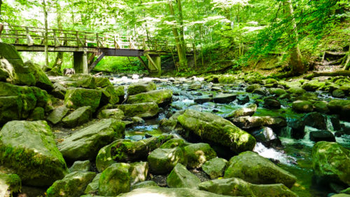 Holzbachschlucht