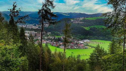 Blick auf Waldbreitbach im Wiedtal