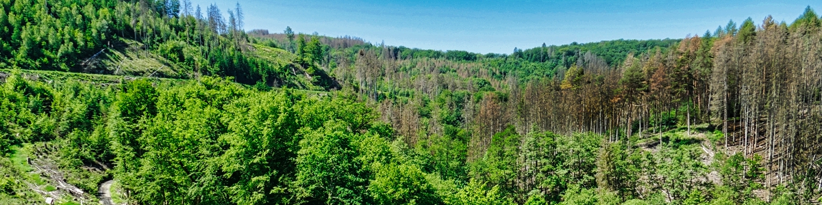 Permalink auf:Kroppacher Schweiz